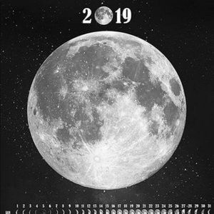 Meet your Posher, Marlene